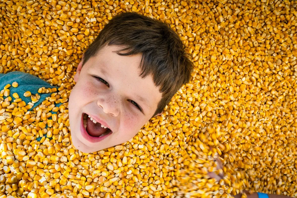 Harvest Ridge Corntacular Adventure
