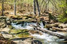 Long Swamp Creek
