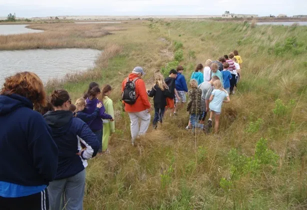 Poplar Island Tours