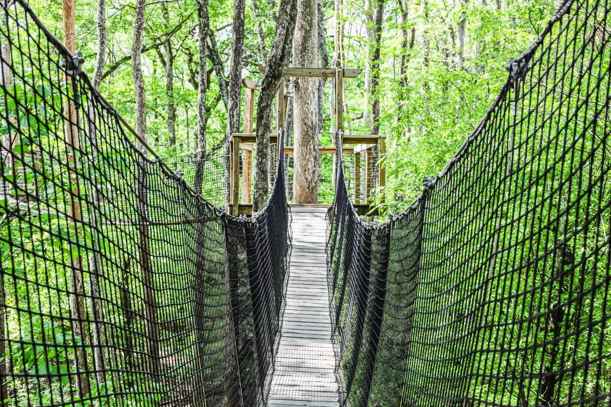 Lynches River County Park