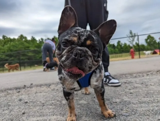 Freedom Park
