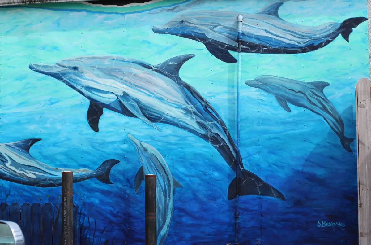 The Silver Dolphin Mural