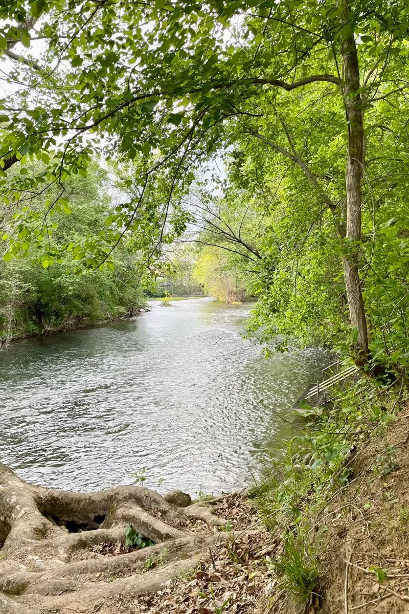 Island Ford Boat Access