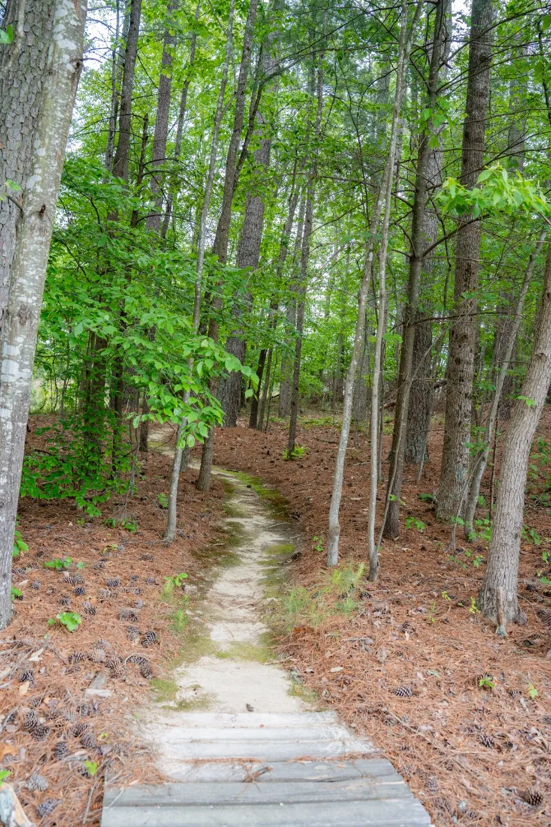 Rockingham County Pathways Trail