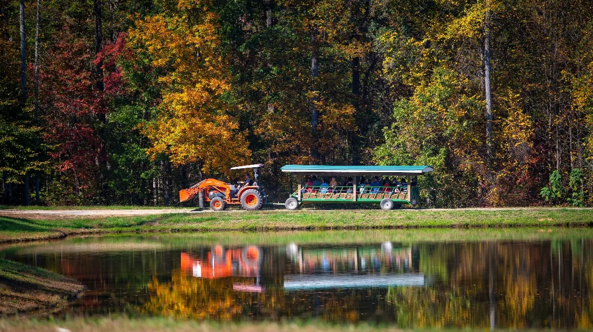 Harvest Ridge Corntacular Adventure