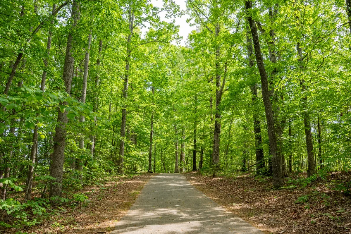 Reidsville Jaycee Park Greenway