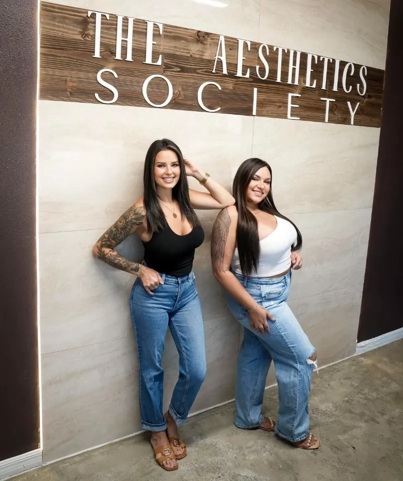 The Aesthetics Society
