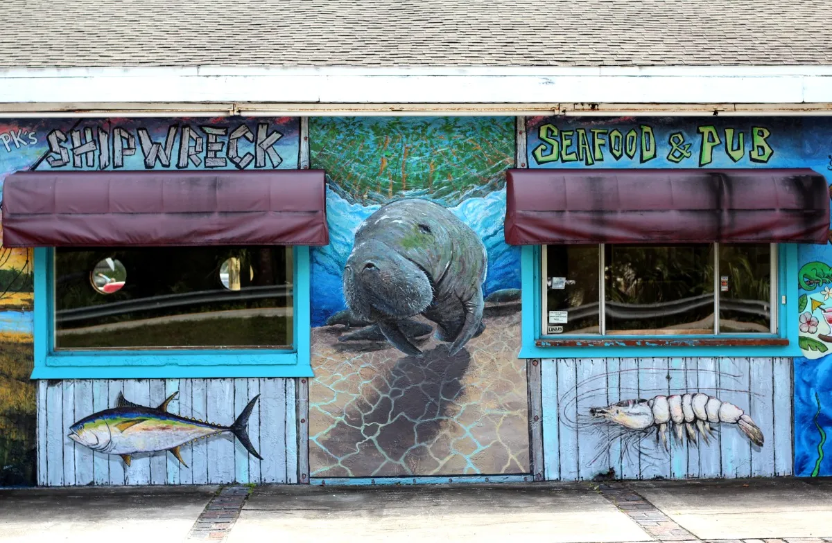 Weeki Wachee Kayaking Mural