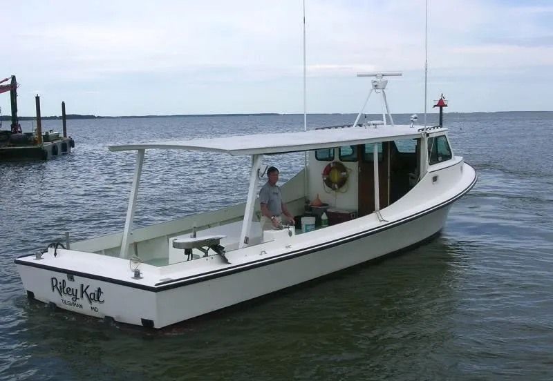 Let’s Go Crabbing
