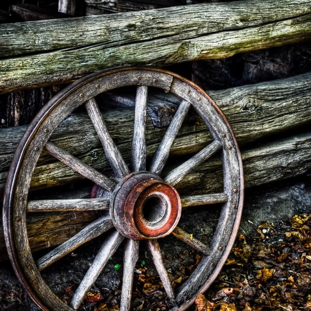 The Wheel-In