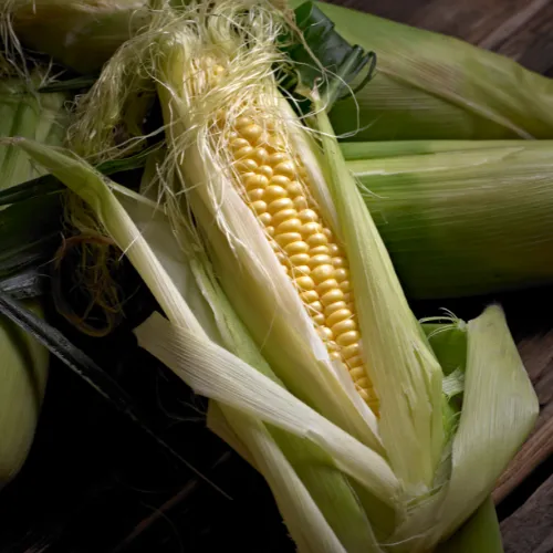 FROEHLICH FARMS