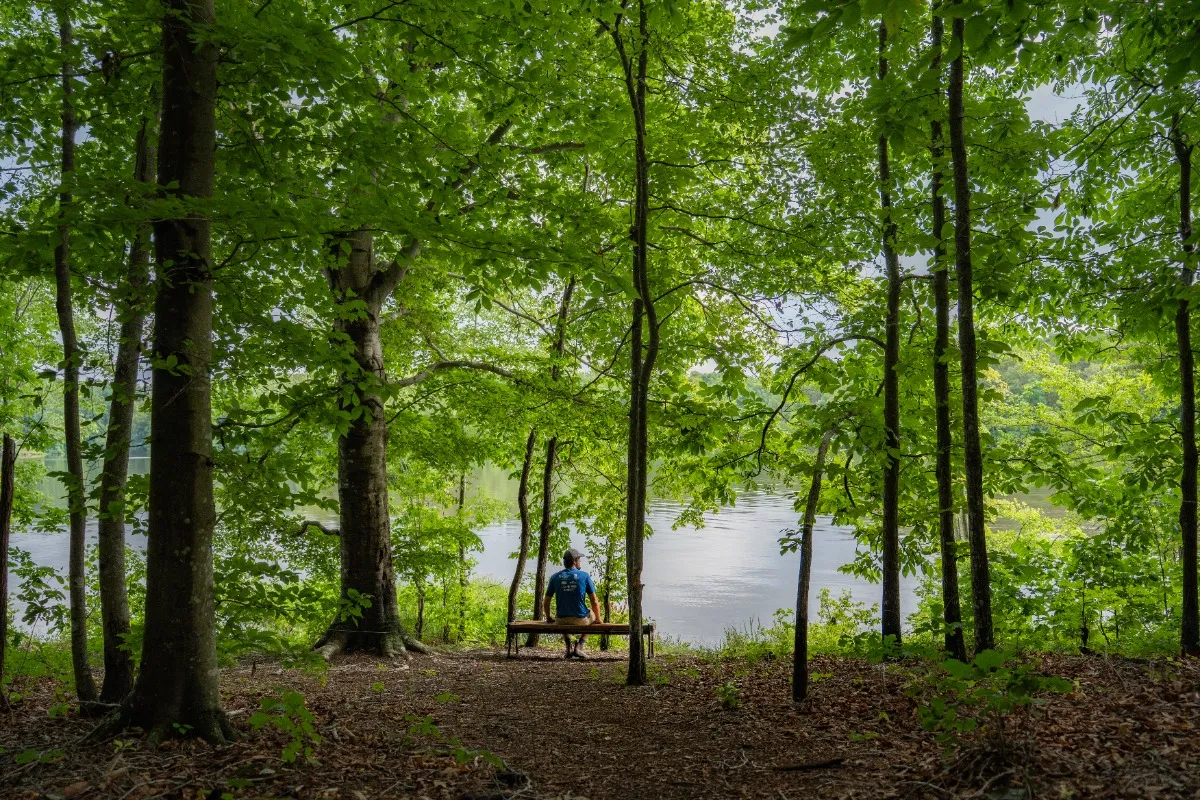 Lake Reidsville Park