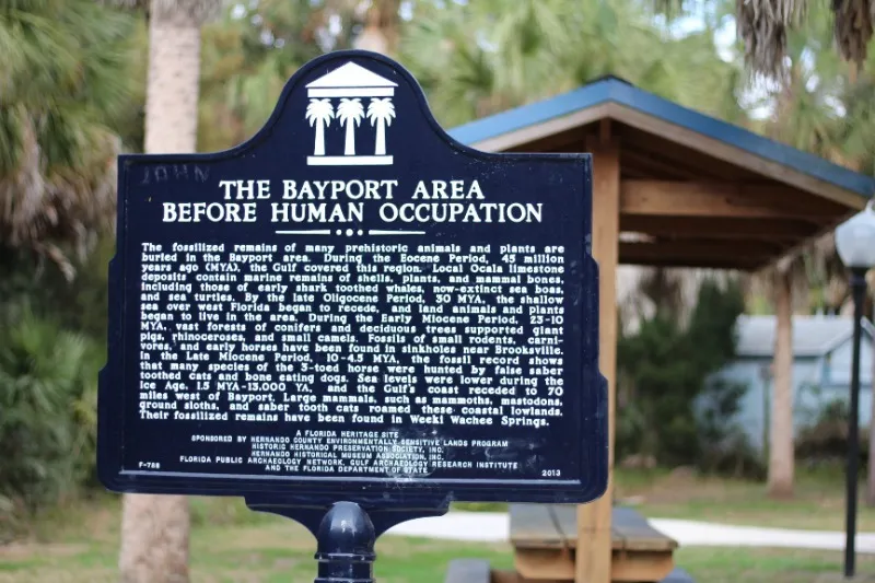 The Bayport Area Before Human Occupation/Bayport's First People Historic Marker