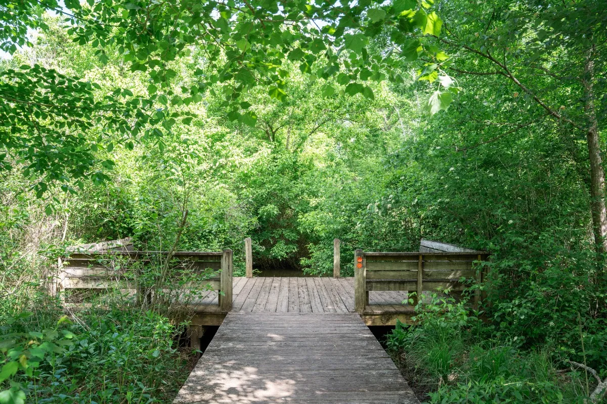 Haw River State Park - The Summit Access