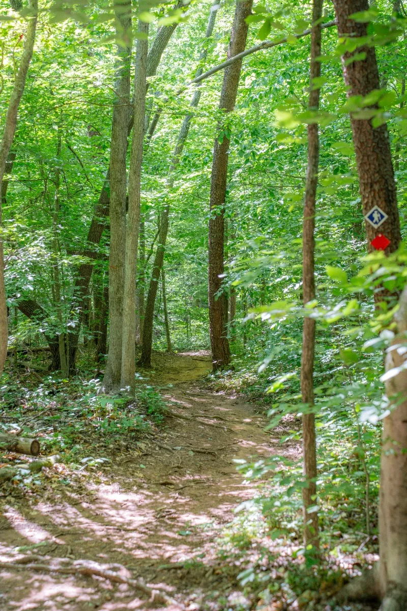 Mayo River State Park - Mayo Mountain Access