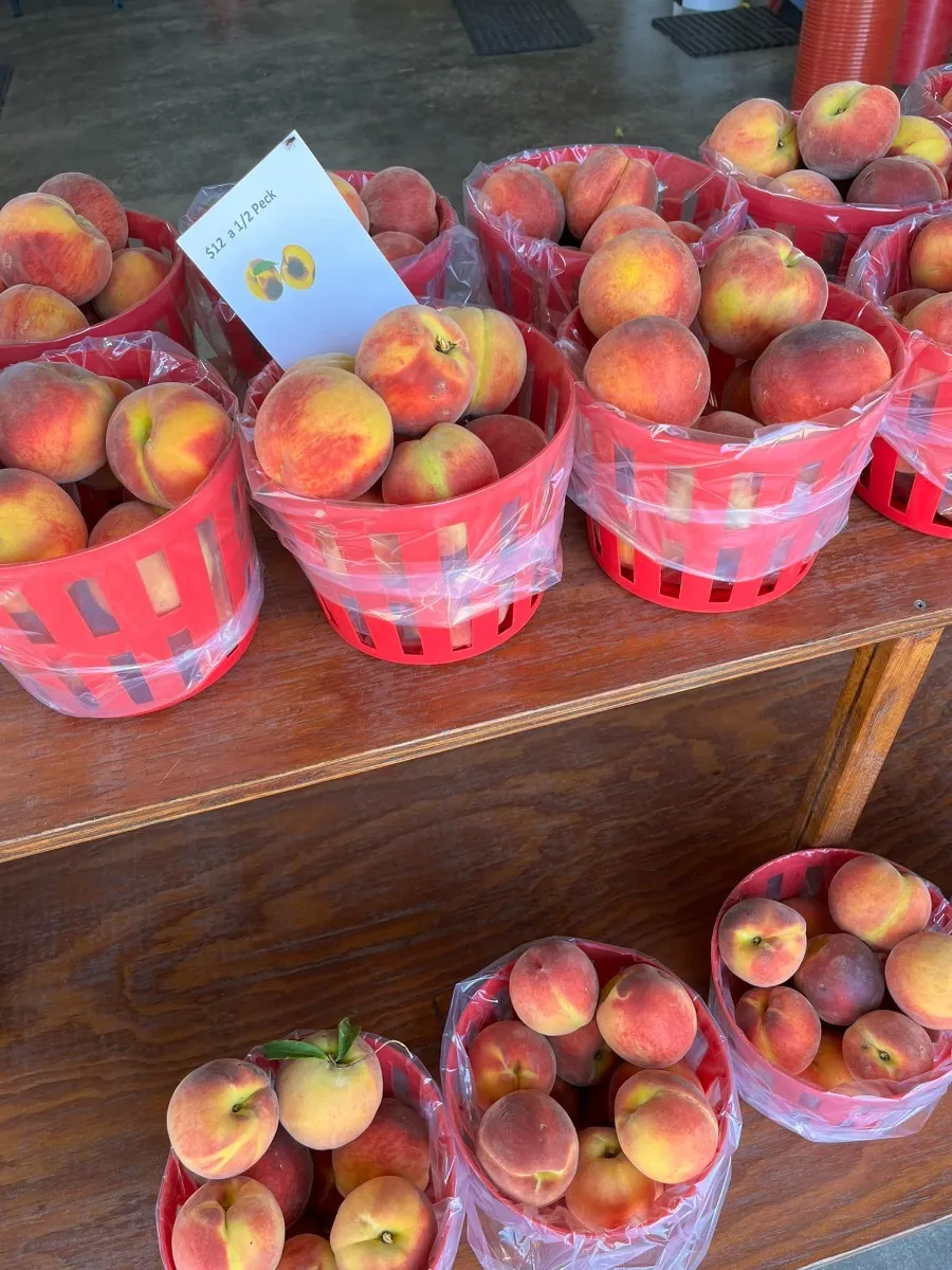 Bee Sweet Orchards