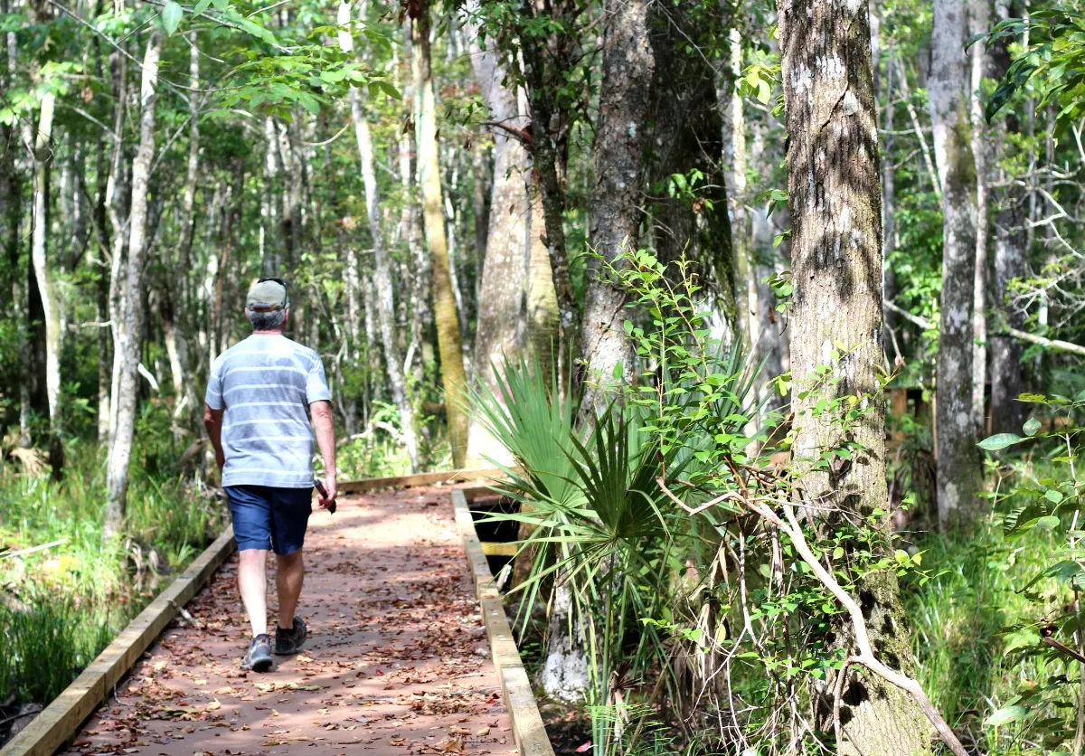 Chassahowitzka Wildlife Management Area
