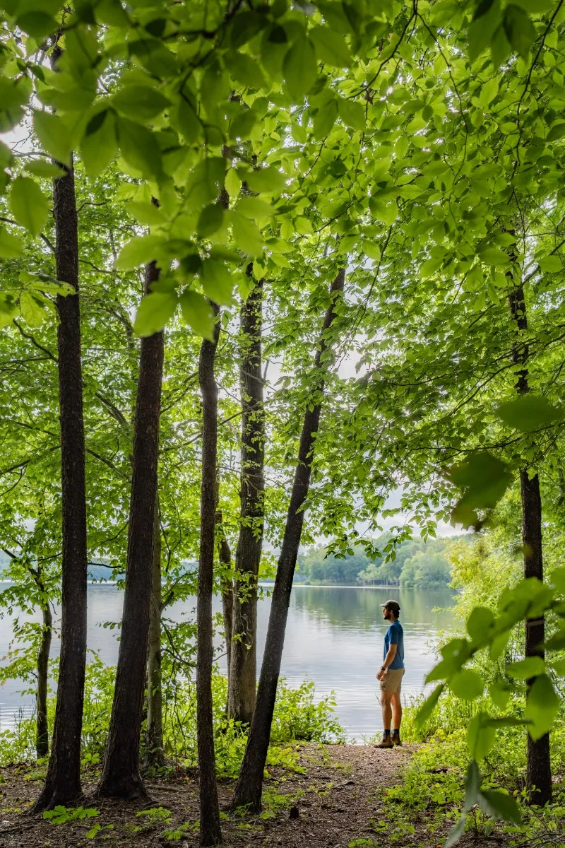 Lake Reidsville Yellow Trail