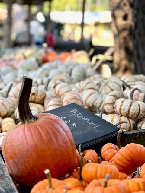 Big Springs Farms