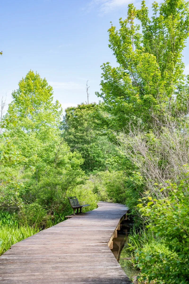 Haw River State Park - The Summit Access