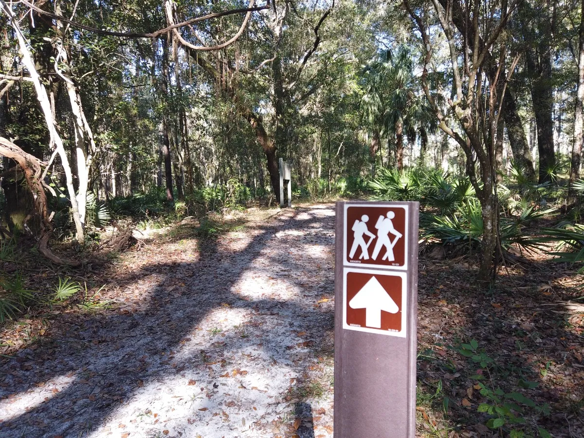 Chinsegut Conservation Center & Trails