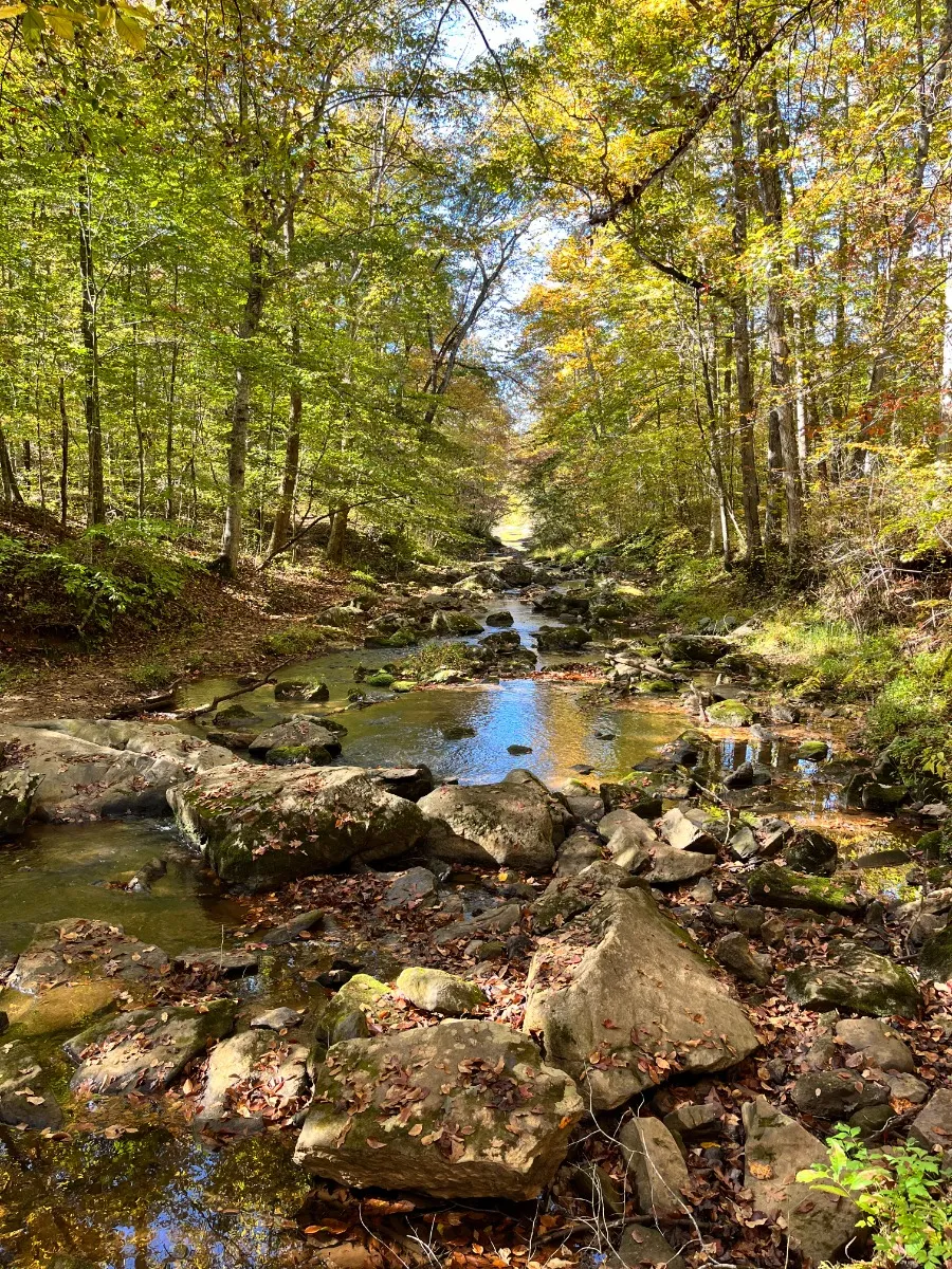 Mayo River State Park - Deshazo Mill Access